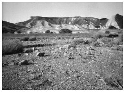 Negev, Israel null