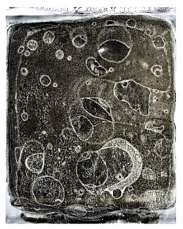 film Polaroid, chemical reaction 2 null