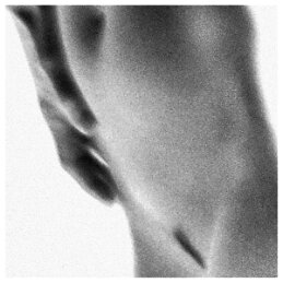 detail Anne Kenary 2015-781 null