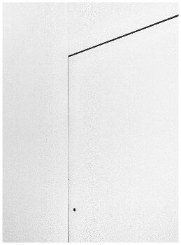 doors Petit Palais 2016 null