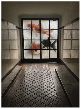 hallway Paris16eme fish-2016-098_ALCE_100 null