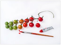 tomatos tube709 null