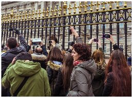 Buckingham palace 2014-406 null